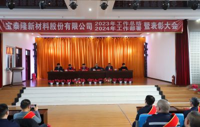 新征程 新奔赴 新未來(lái)|寶泰隆2023年度總結(jié)暨表彰大會(huì)隆重舉行